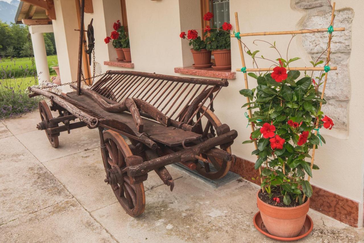 La Tieda - Locazione Turistica Reolon Bed & Breakfast Belluno Exterior photo